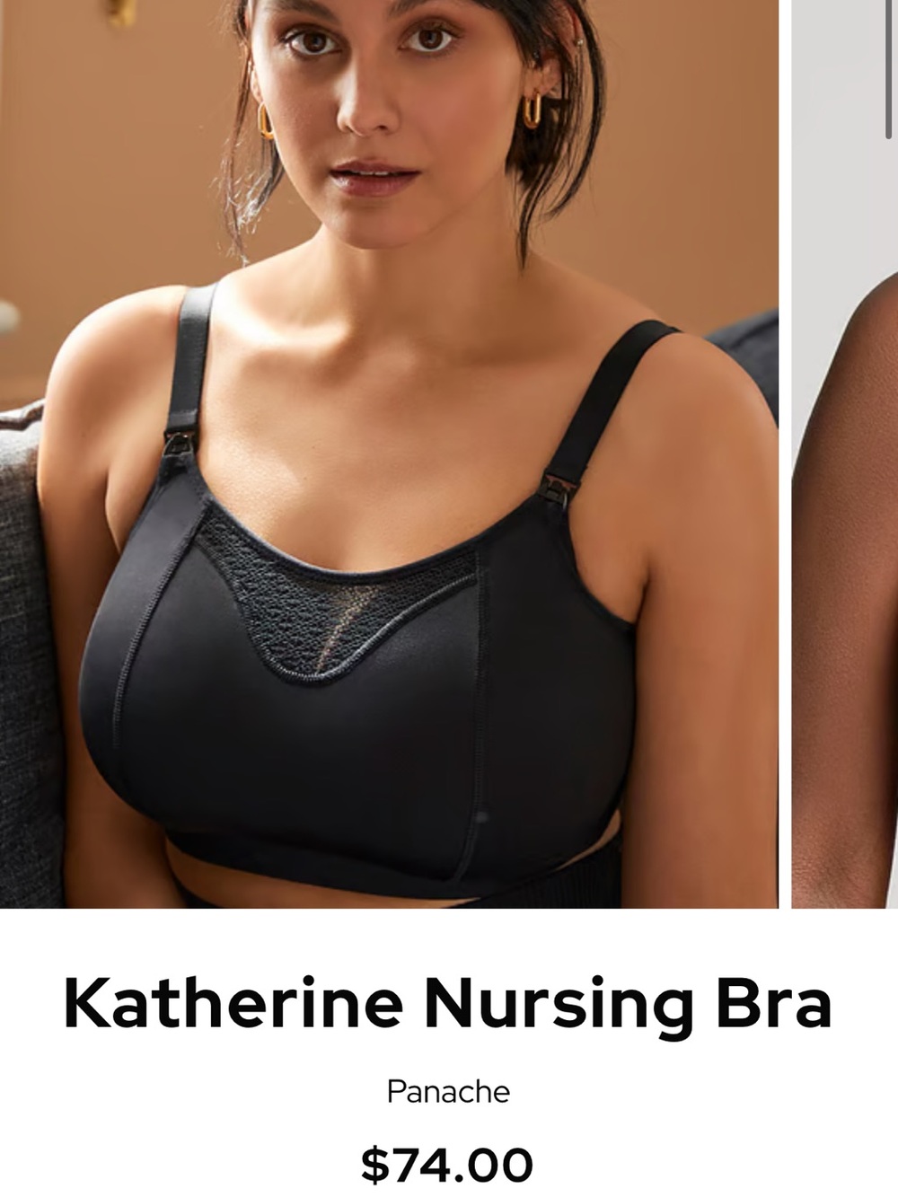 Panache Katherine Nursing Bra — Black